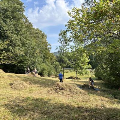 Gemeinsam für unsere Natur - Zichtelwiese Breitenfurt