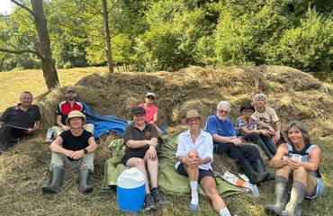 Gemeinsam für unsere Natur - Zichtelwiese Breitenfurt